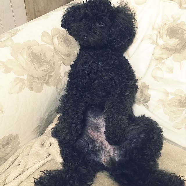 natulove0418さんの実例写真