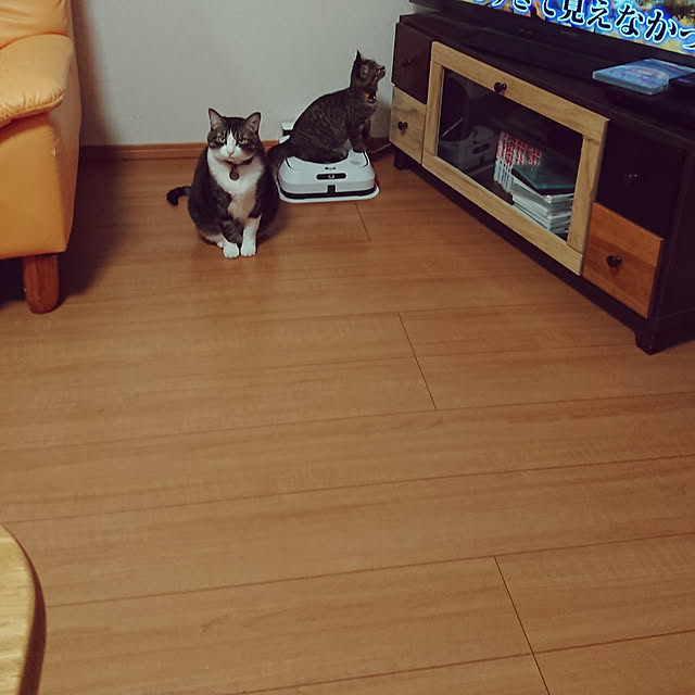 noguriさんの実例写真