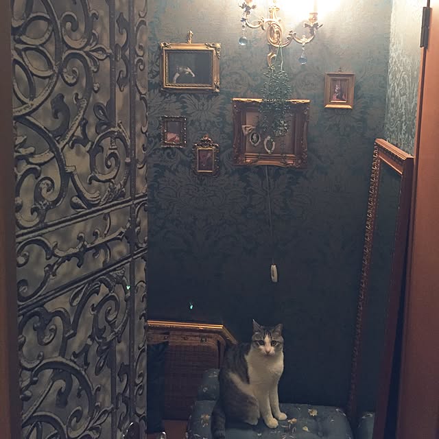 emmyyさんの実例写真