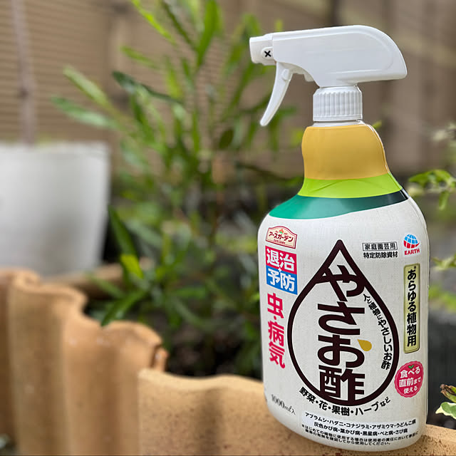 67さんの実例写真