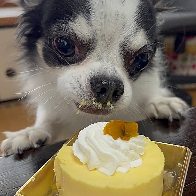 minnieさんの部屋