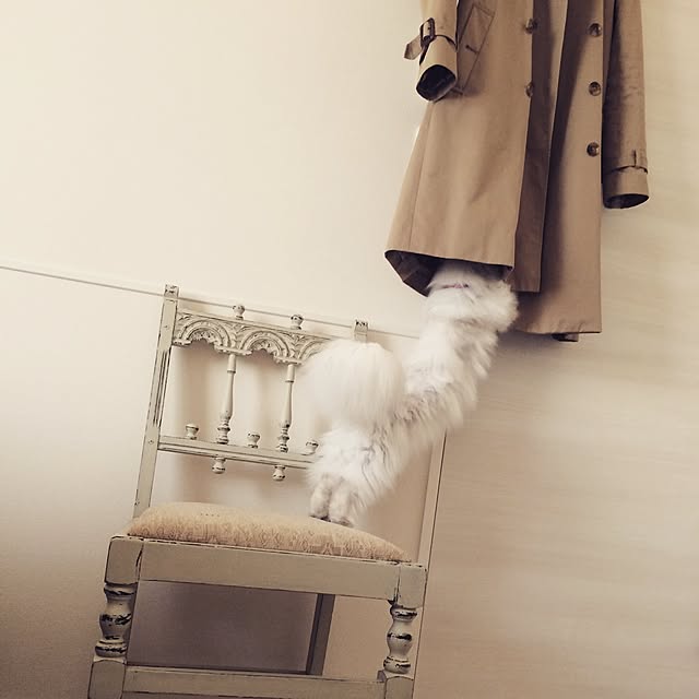 axicoさんの実例写真
