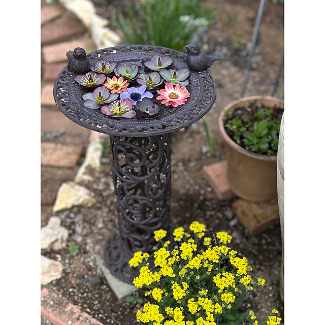 SAYOさんの実例写真