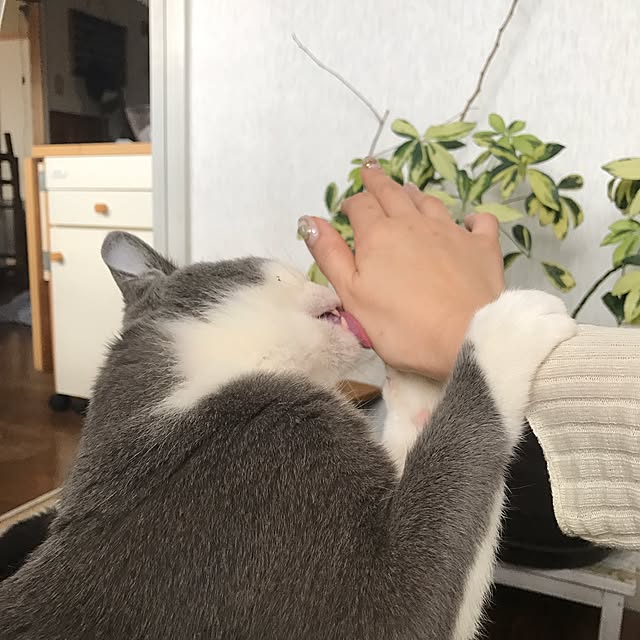 mucc08さんの実例写真