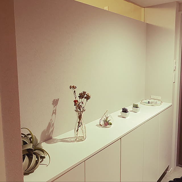 miさんの実例写真