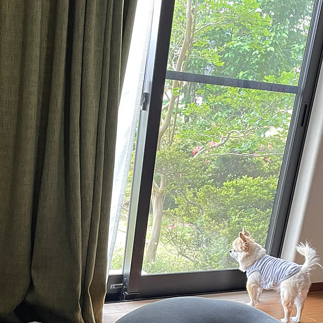 natsumiさんの部屋
