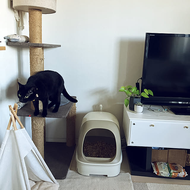 nekomiさんの部屋