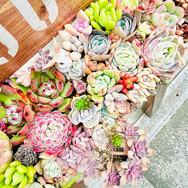 harumaruさんの実例写真