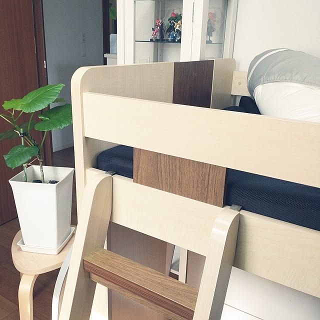 tan5さんの実例写真