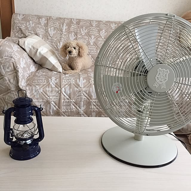 mocomocoyuuさんの実例写真