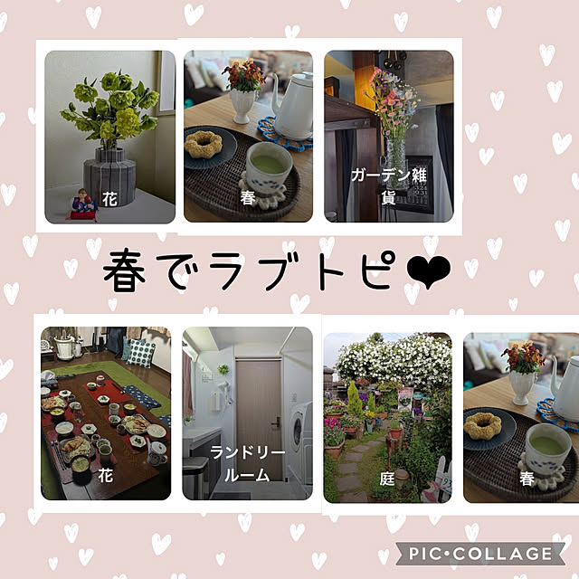 CoCo0617さんの実例写真
