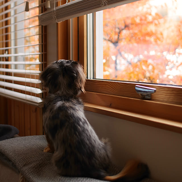 ma.home___さんの実例写真