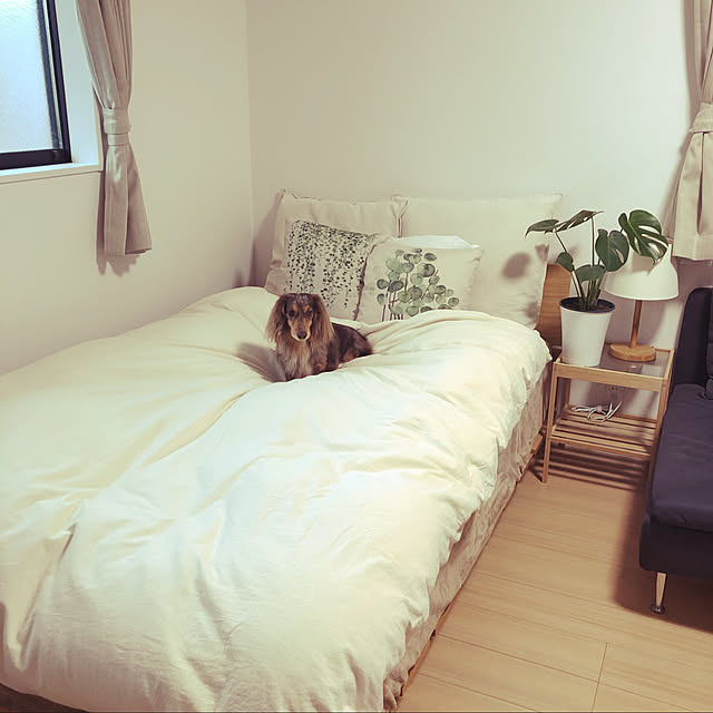 cocoaさんの実例写真