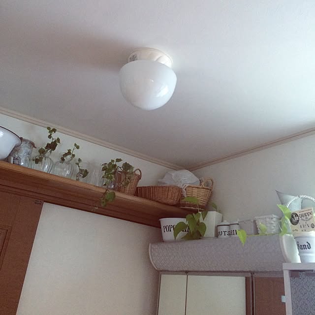 Momoさんの実例写真