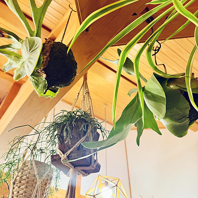 onsix777さんの実例写真