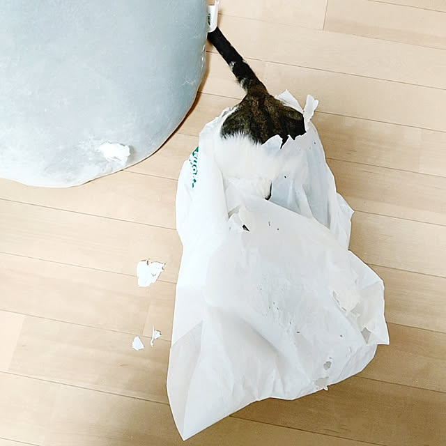 kirakirahikaruさんの実例写真