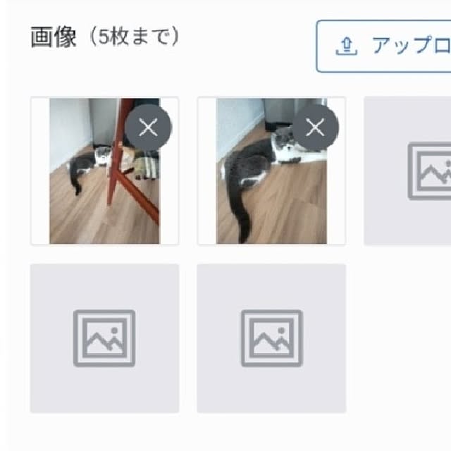 KEIKOさんの実例写真