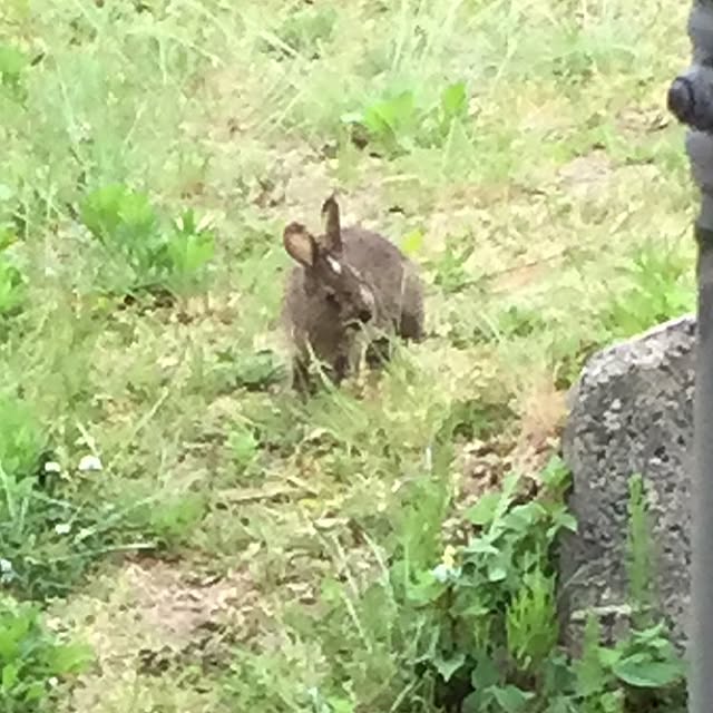 MKroomさんの実例写真