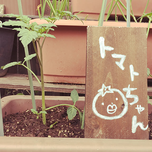 rogu33さんの実例写真