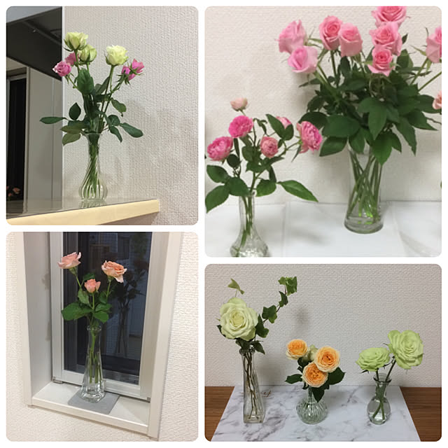Rieさんの実例写真