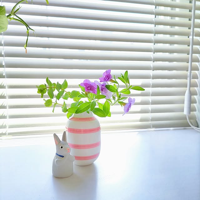 Haさんの部屋