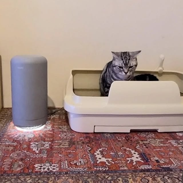 lovepeaceさんの実例写真