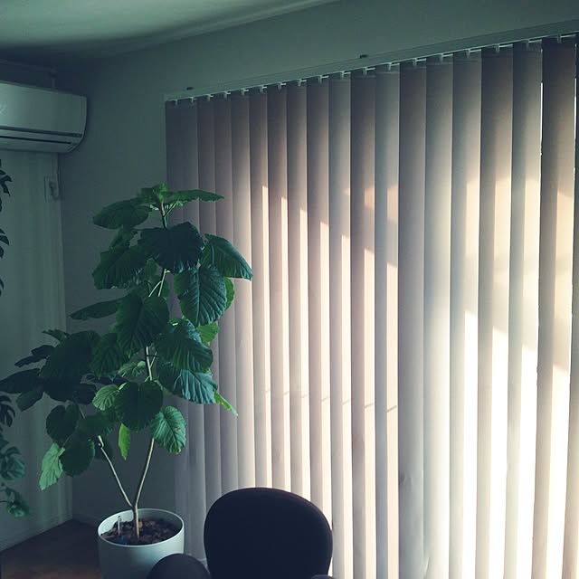 naka_tyu_mさんの実例写真
