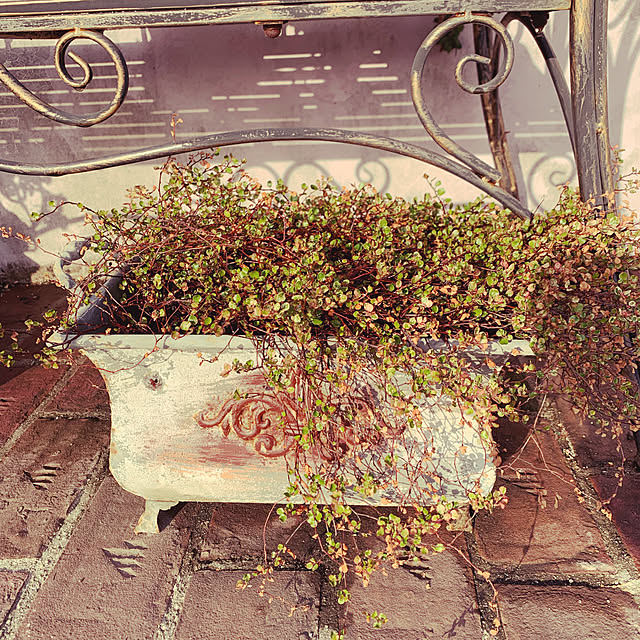 AYUKOさんの実例写真