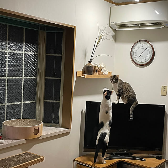 nobikoさんの部屋