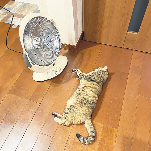 hansho.sさんの実例写真