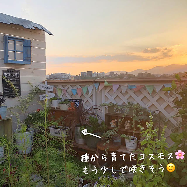 r_6cafeさんの実例写真