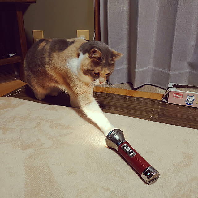 fukuさんの実例写真