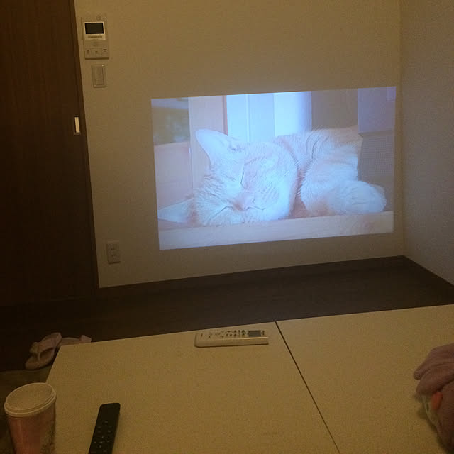 Lisaさんの実例写真