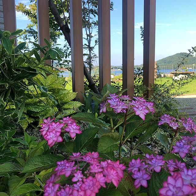 chi_8777さんの実例写真