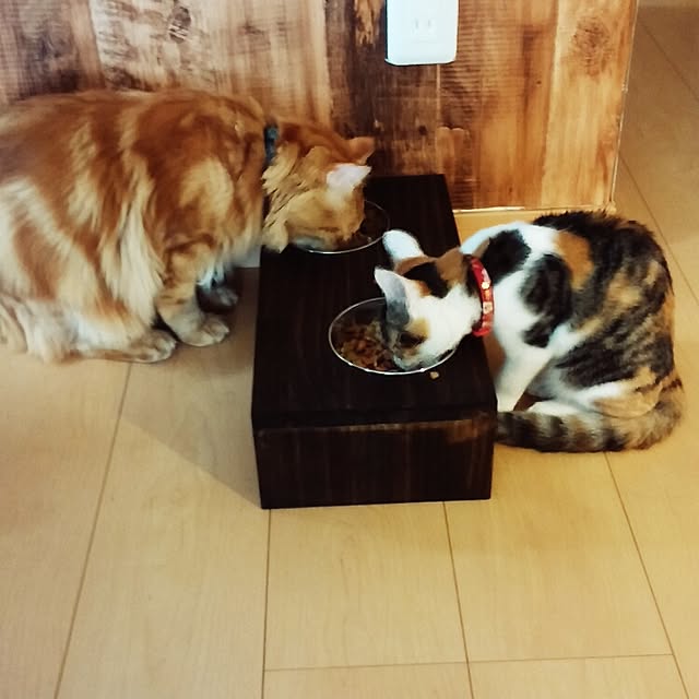 l..tomesanさんの実例写真