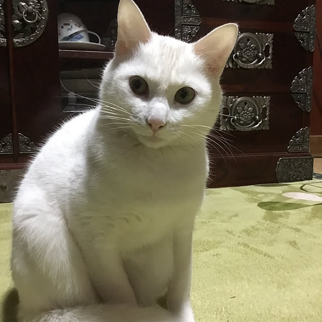 marinさんの部屋