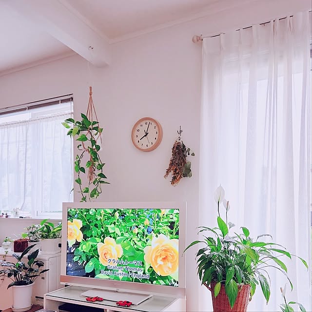 surviveさんの実例写真