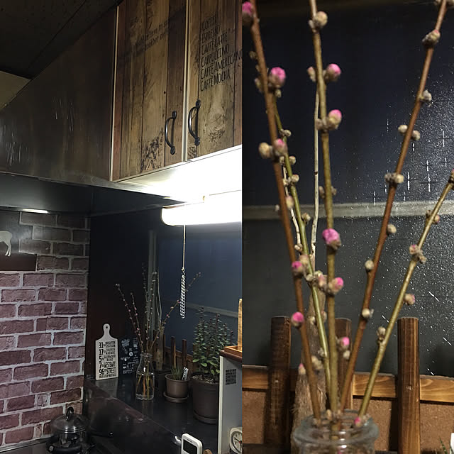 mikyuさんの実例写真