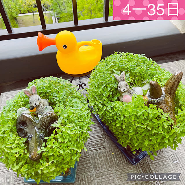 aureaさんの実例写真