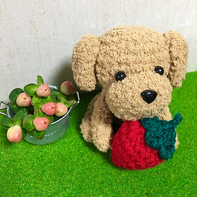 ronmaruさんの実例写真