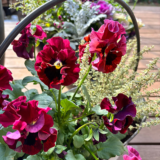 maimai0110さんの部屋