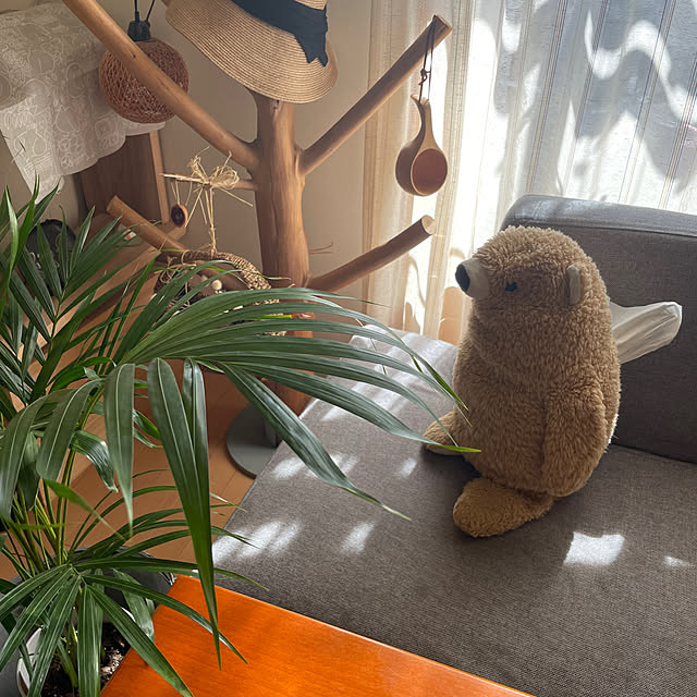 taka17cafeさんの実例写真