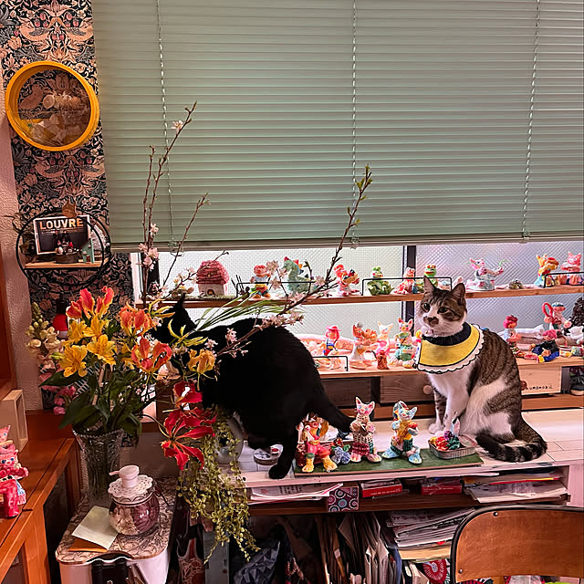jijiさんの実例写真