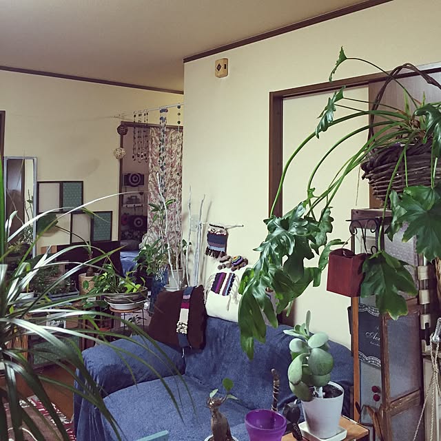 Norikoさんの実例写真