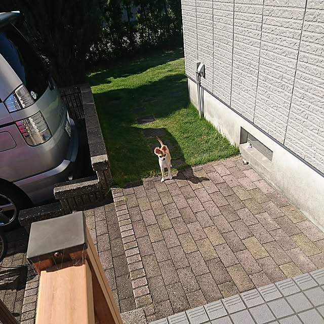 nattimomoさんの実例写真