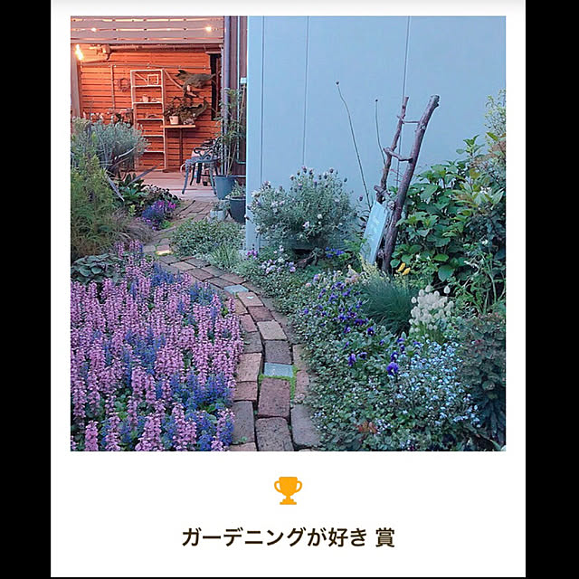 kyoko1124koさんの実例写真