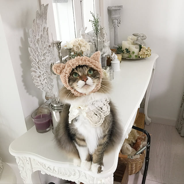 yuchiさんの実例写真