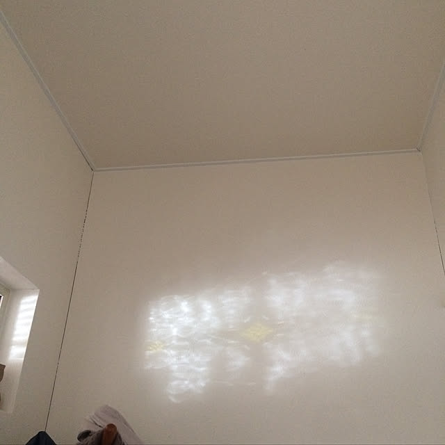 shimoamさんの実例写真