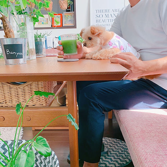 risaさんの実例写真
