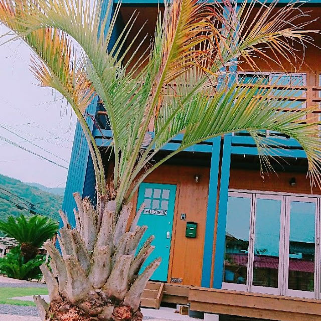 kugacityさんの実例写真